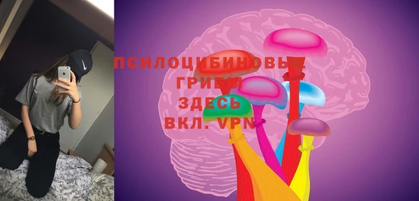 ALPHA PVP Бронницы
